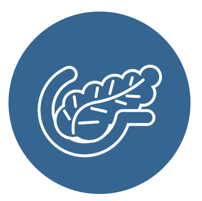 1-icon