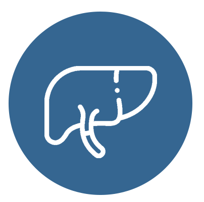 2-icon