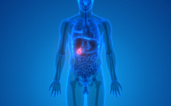 Gallbladder